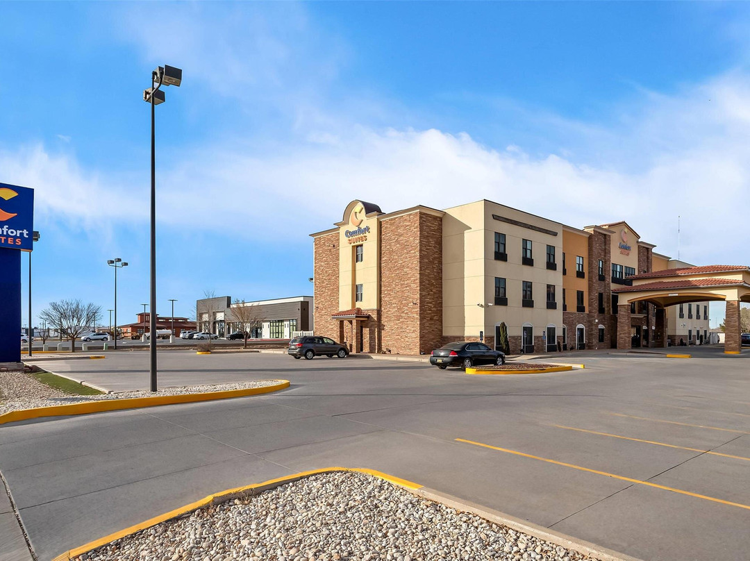 罗斯威尔酒店住宿-Comfort Suites Roswell