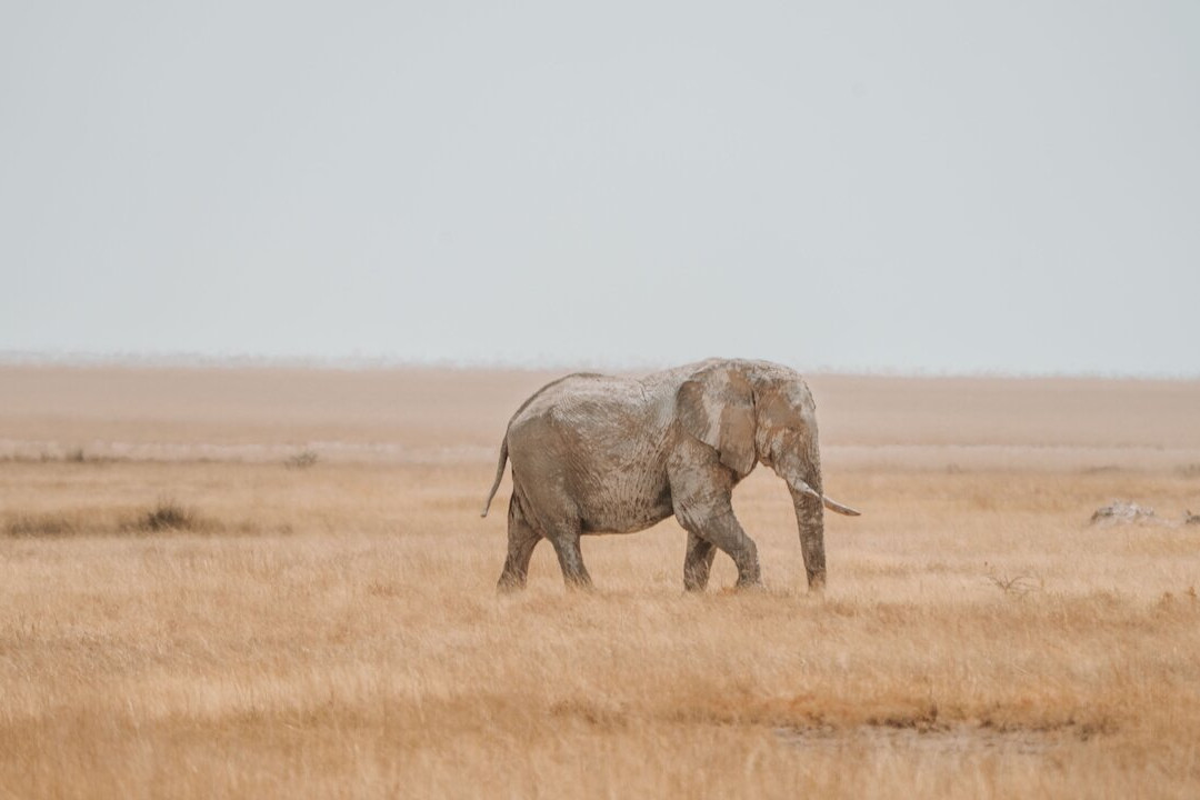 Namibia Tours & Safaris-斯瓦科普蒙德必去景点