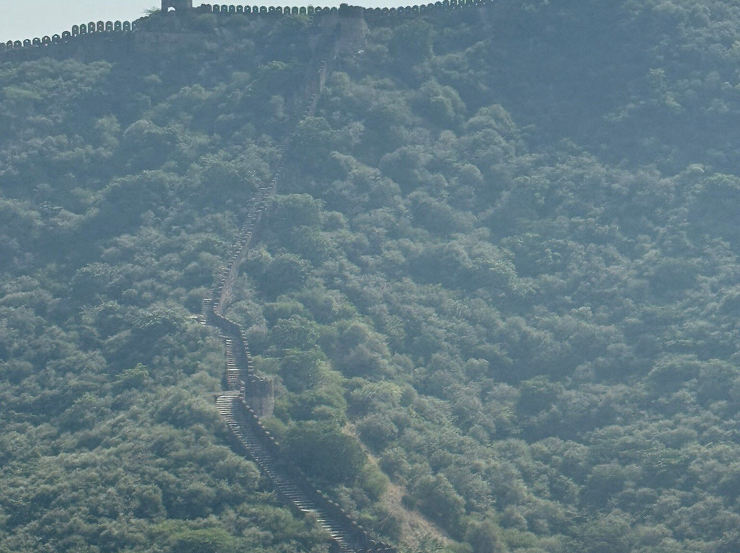 Sariska Wild Ventures-Sariska必去景点