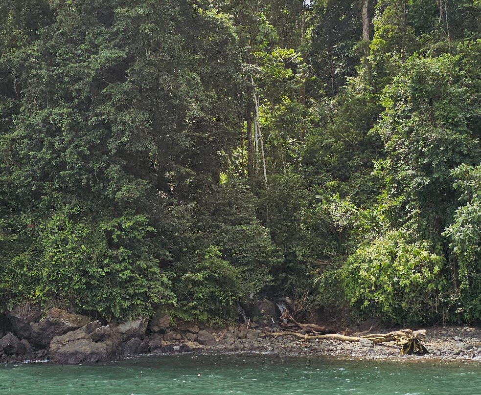 Jardín Botánico del Pacifico-Bahia Solano必去景点