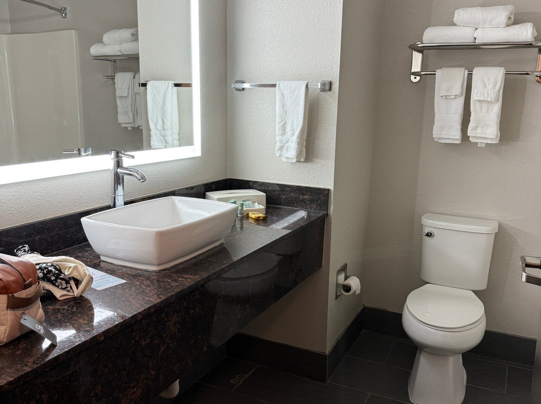 Best Western Savannah Airport Inn & Suites主图