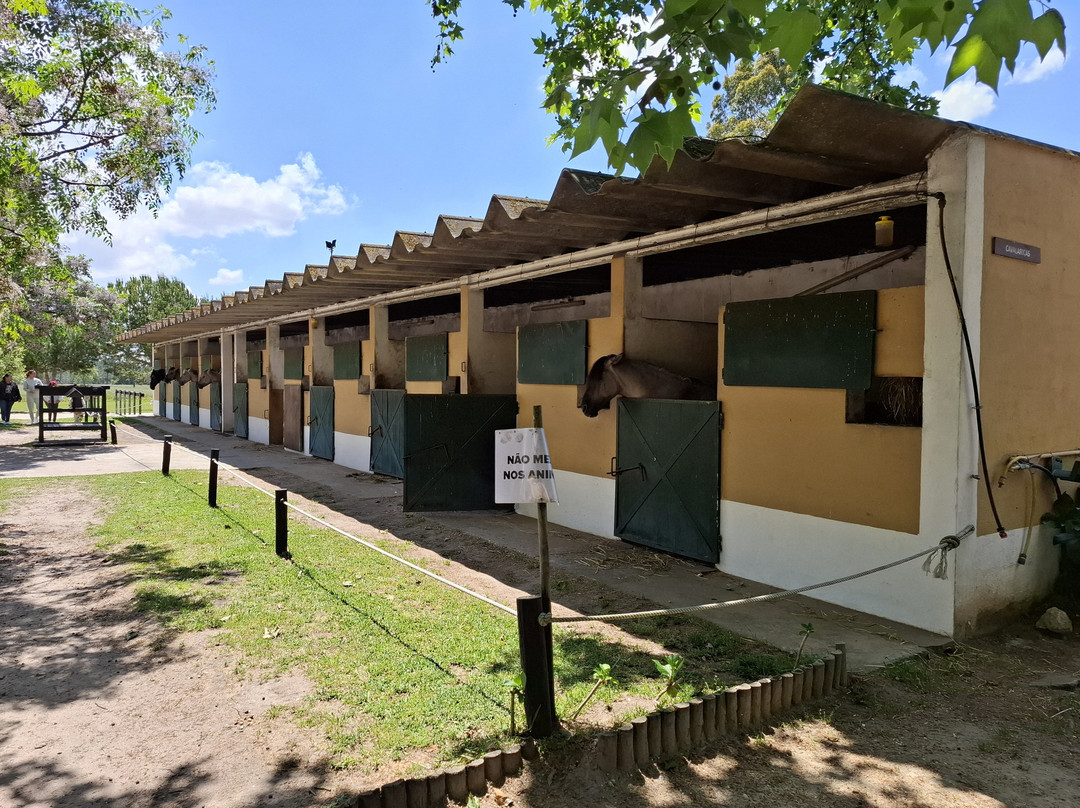 Reserva Natural do Cavalo do Sorraia