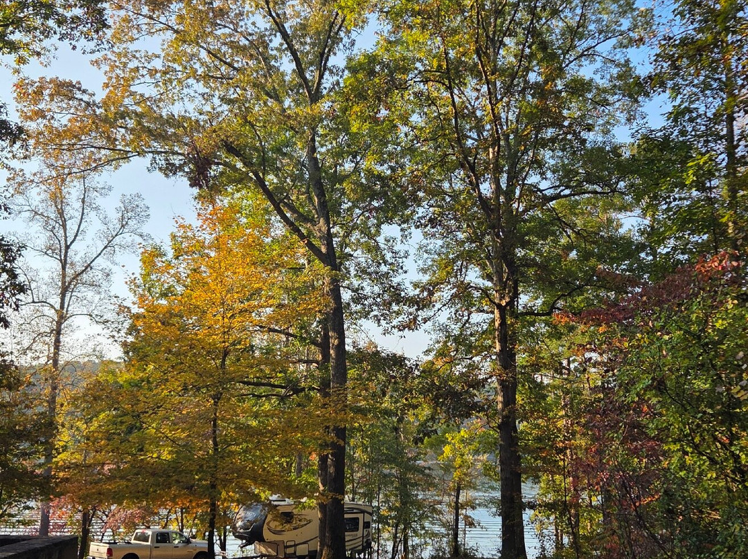 Jackrabbit Mountain Bike & Hiking Trails-Hayesville必去景点