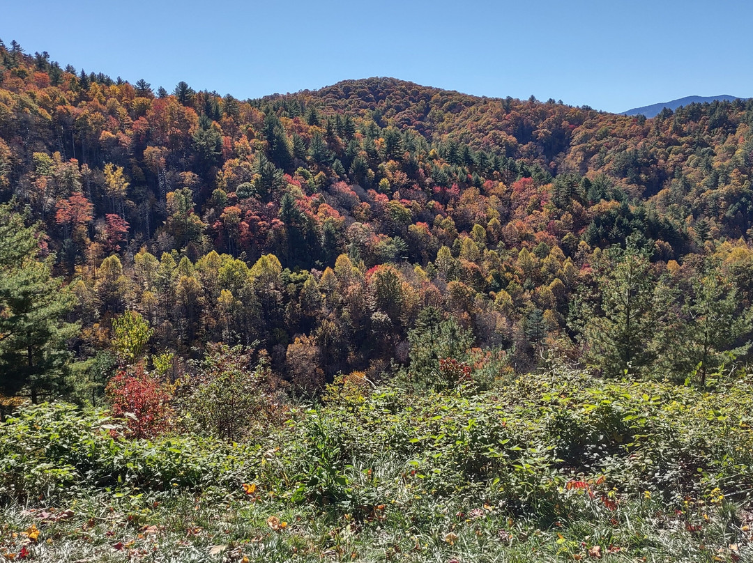 Cataloochee Valley-大雾山国家公园必去景点