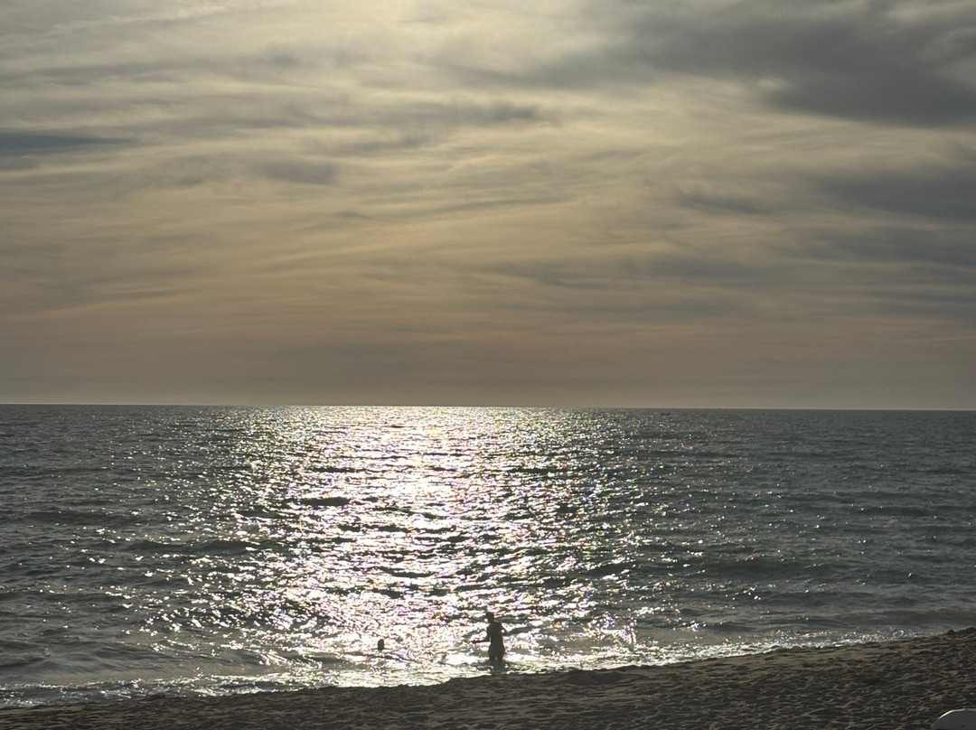 The Magnolia Hotel主图