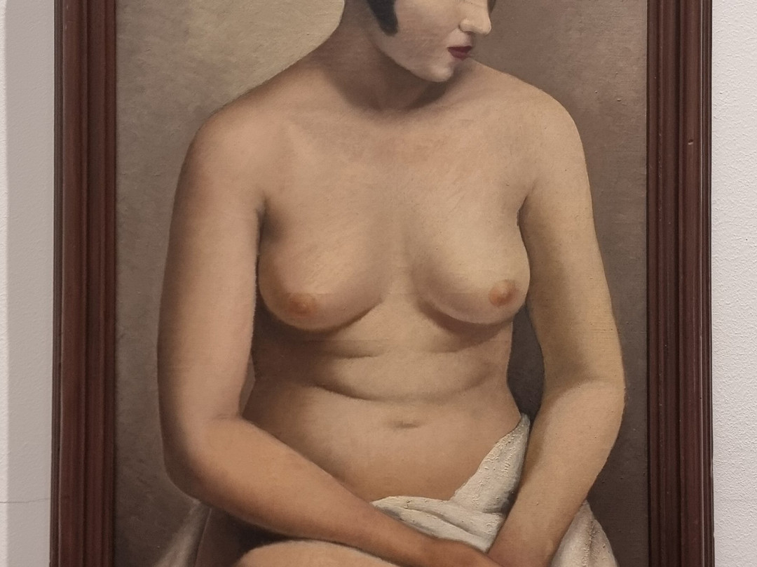 Galleria d'Arte Moderna Giannoni-诺瓦拉必去景点