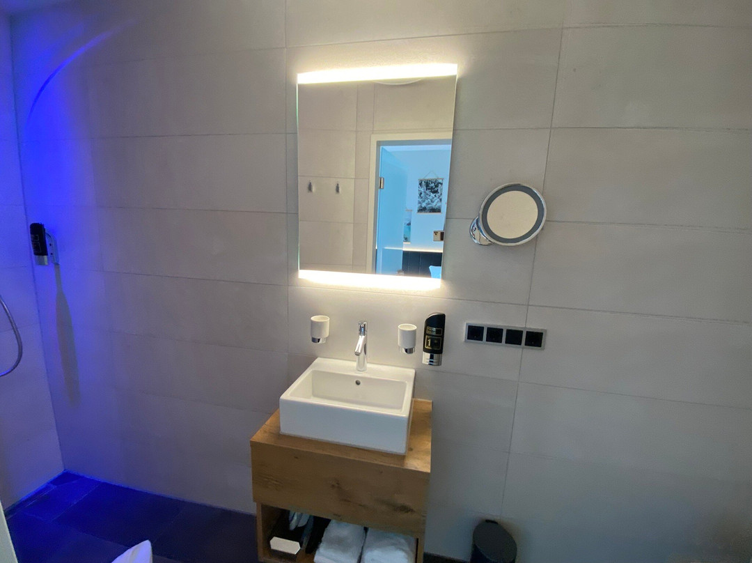 Stadthotel Haslach主图