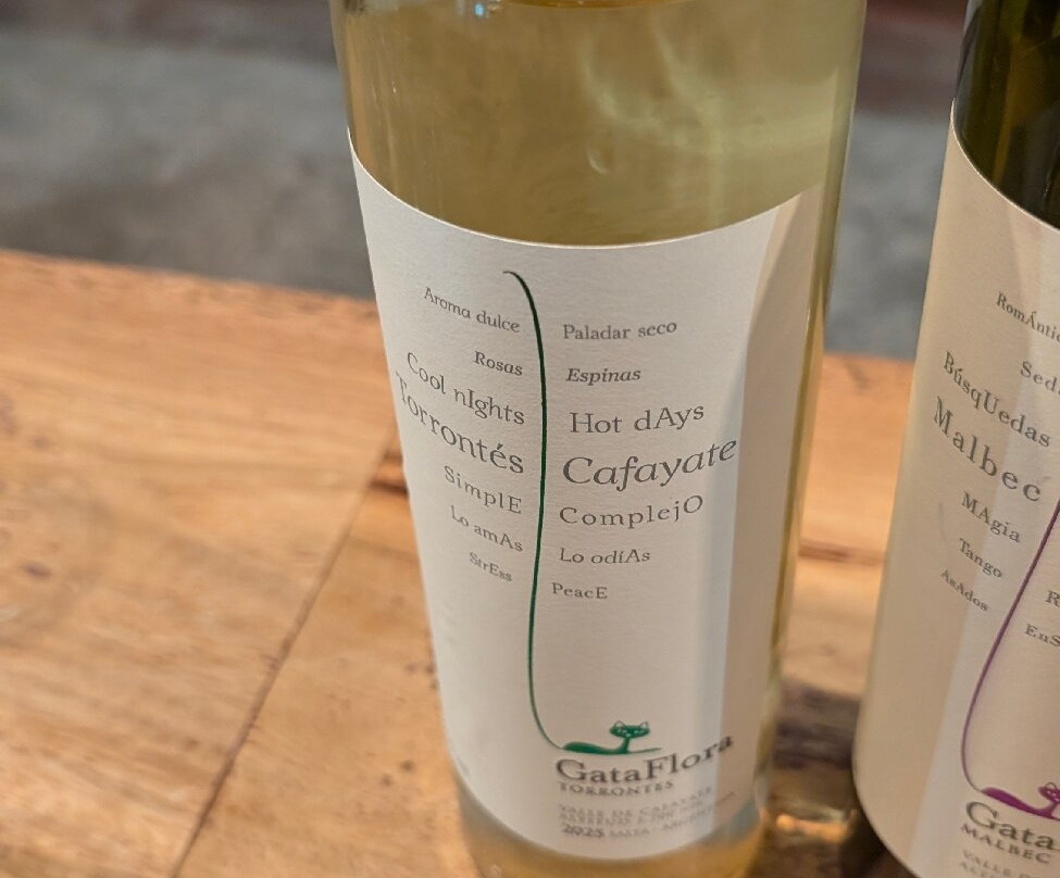 Antigua Bodega Vasija Secreta-卡法亚特必去景点