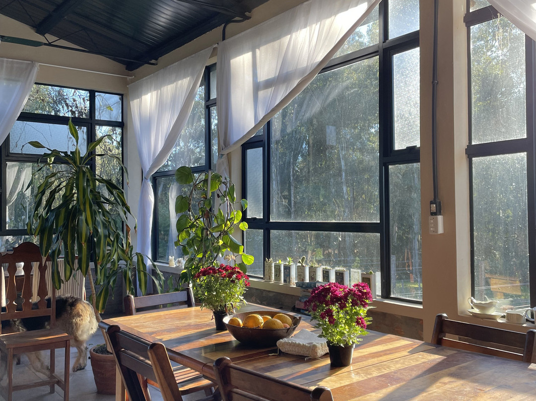 Canela Do Mato-Santana do Livramento必去景点