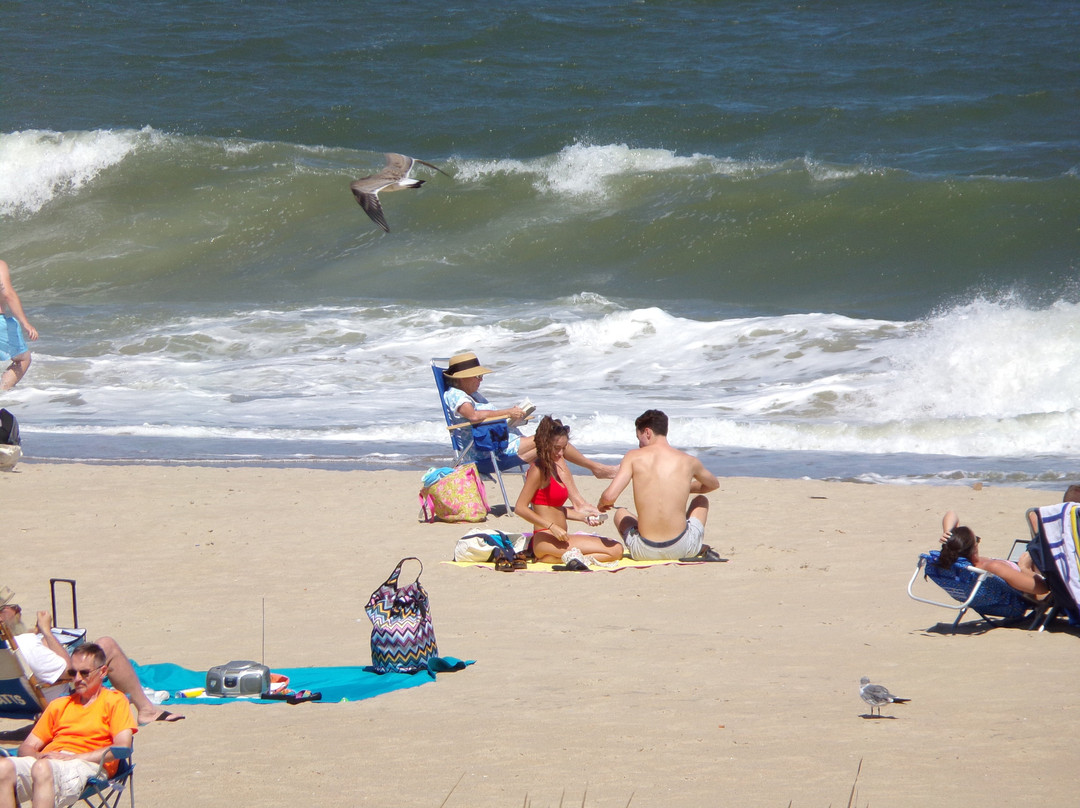 Avenue Inn & Spa主图