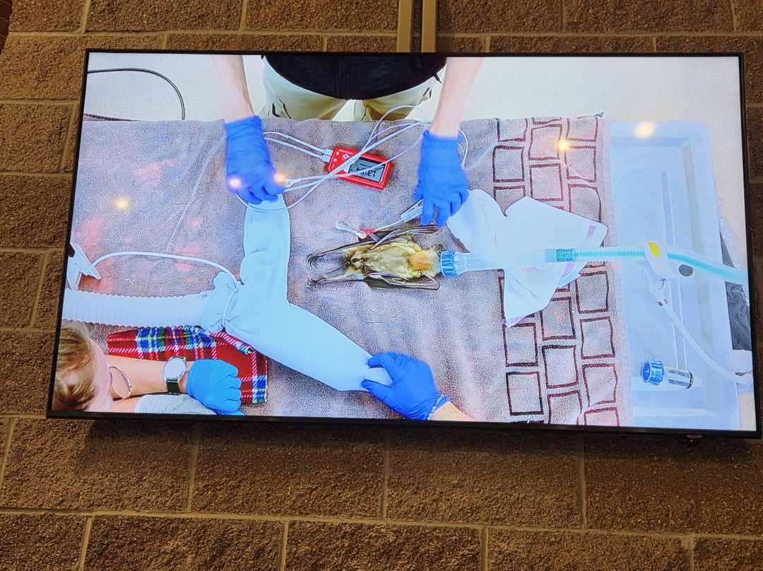 Milwaukee County Zoo-密尔沃基必去景点