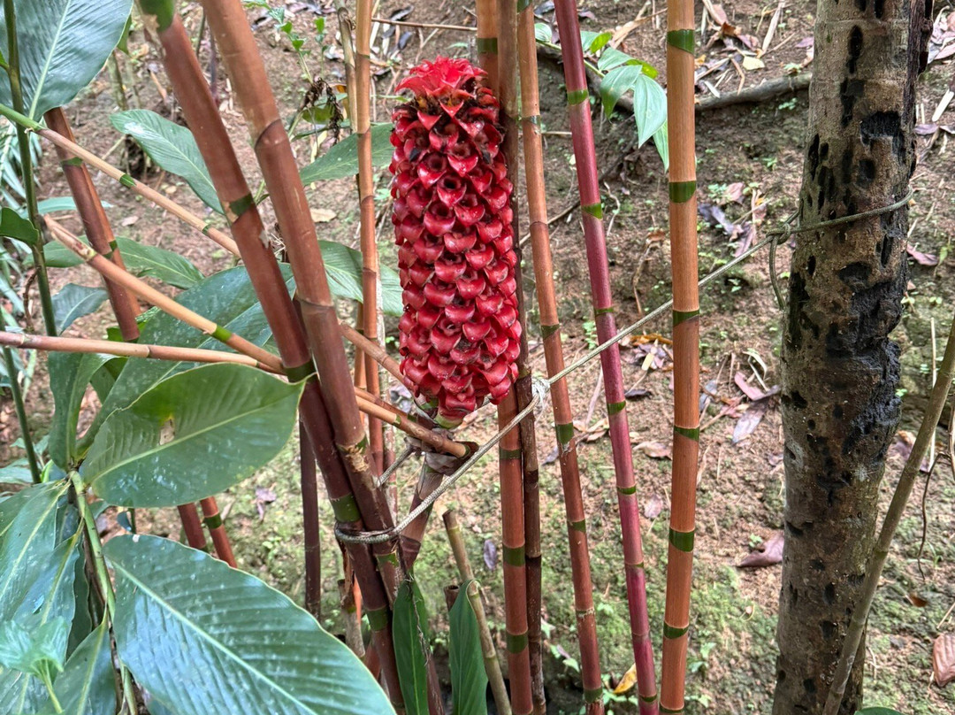 JnJ Tours-St. George's必去景点