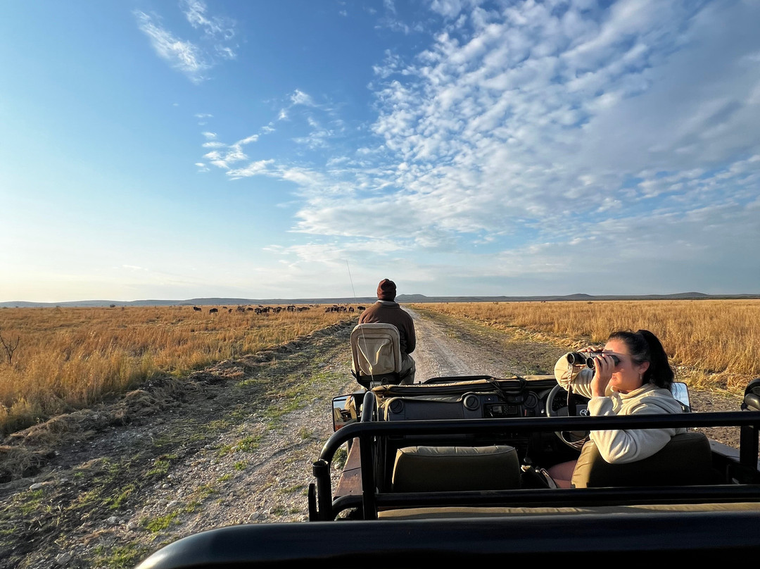 MoAfrika Tours-约翰内斯堡必去景点