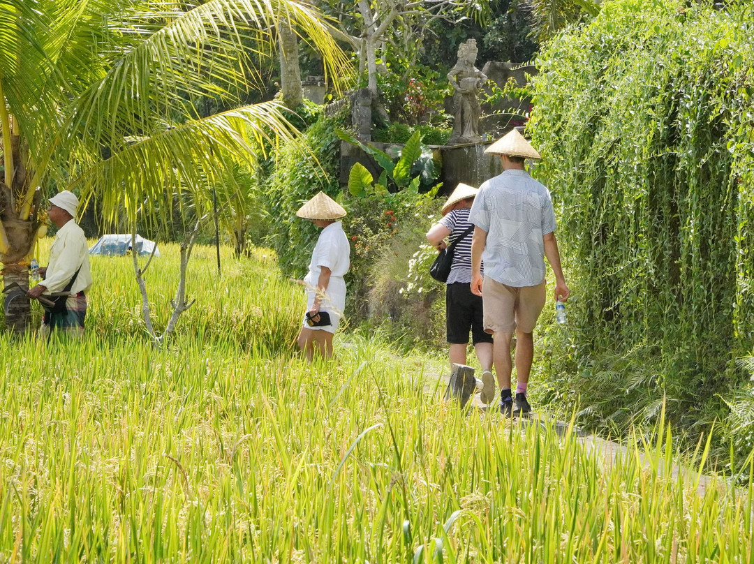 Bali Agritours-阿比安塞马尔必去景点