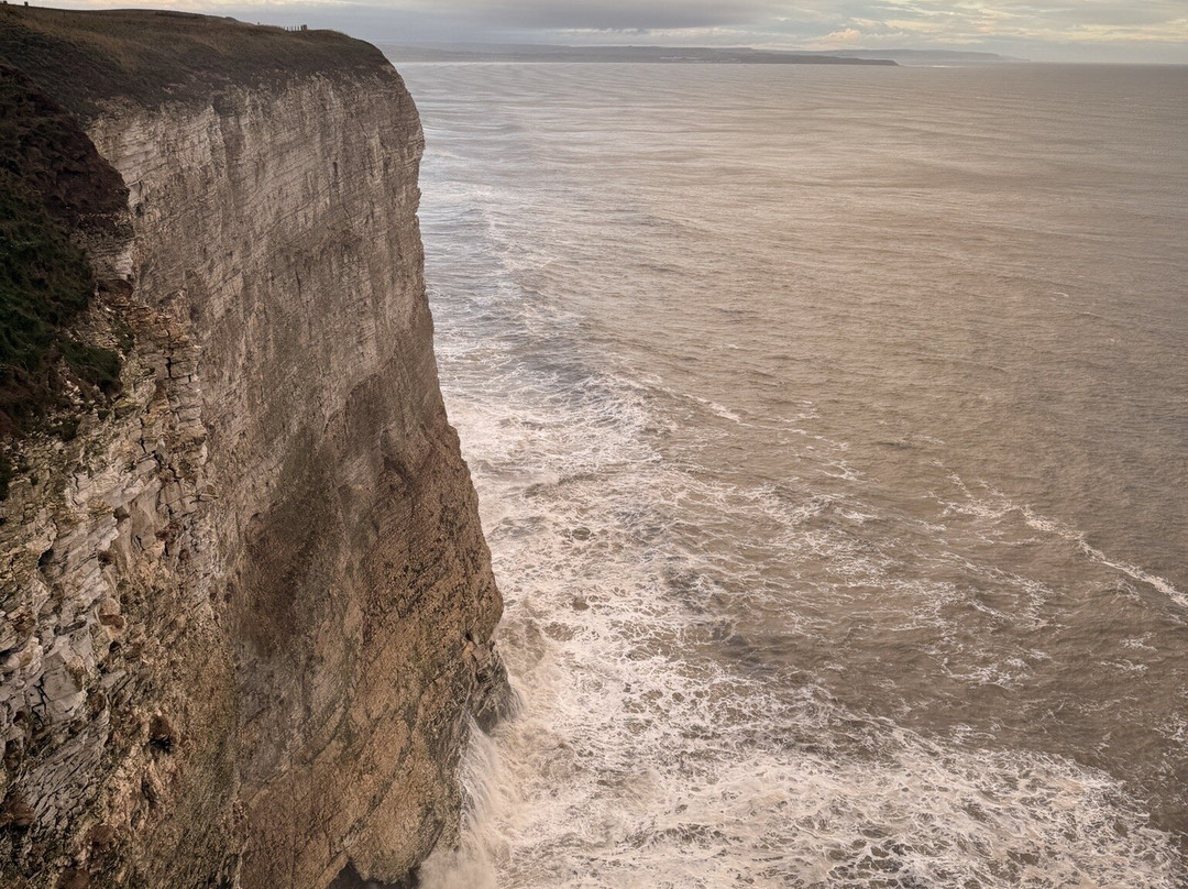 Rspb Bempton Cliffs-Bempton必去景点