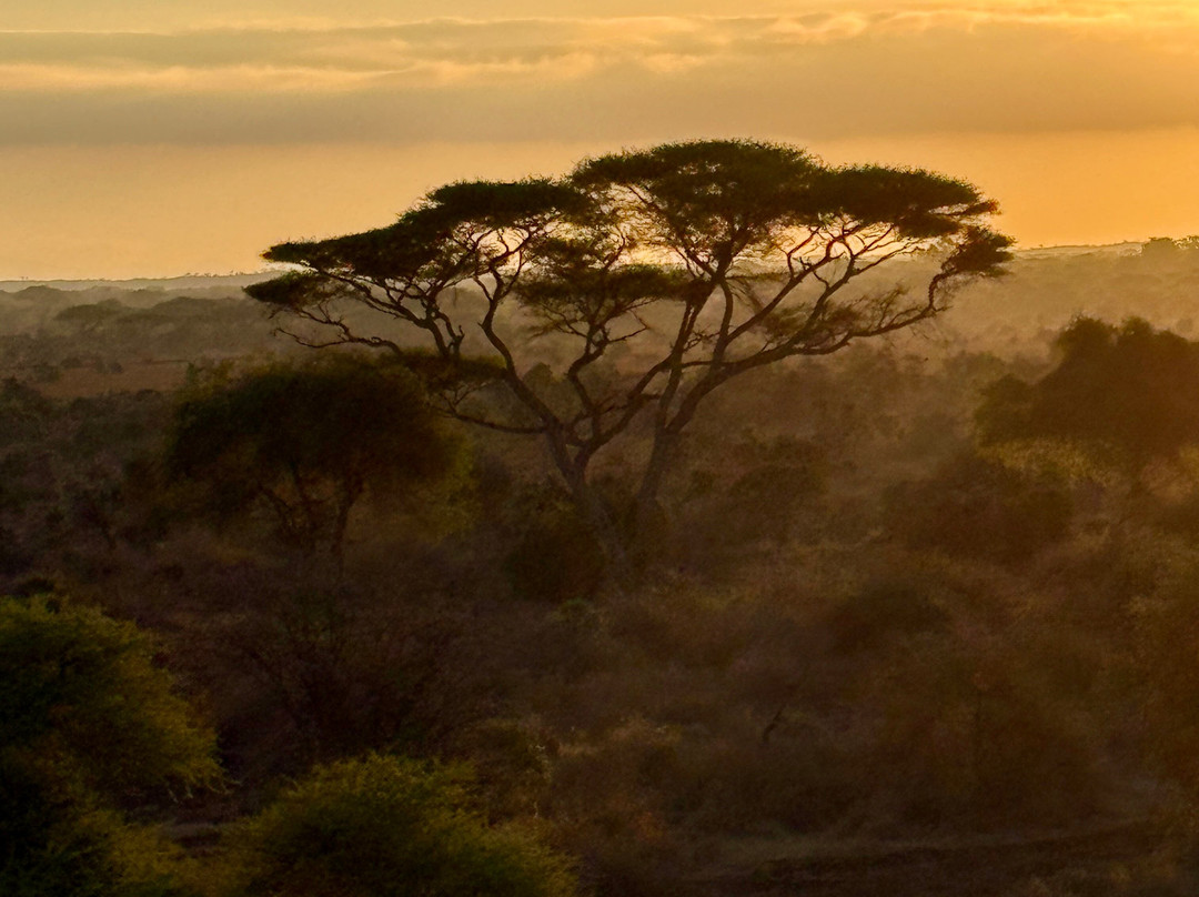 Kilimanjaro Balloon Safaris-安博塞利国家公园必去景点