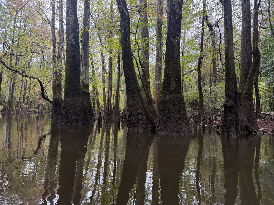 Carolina Outdoor Adventures-厄莫必去景点