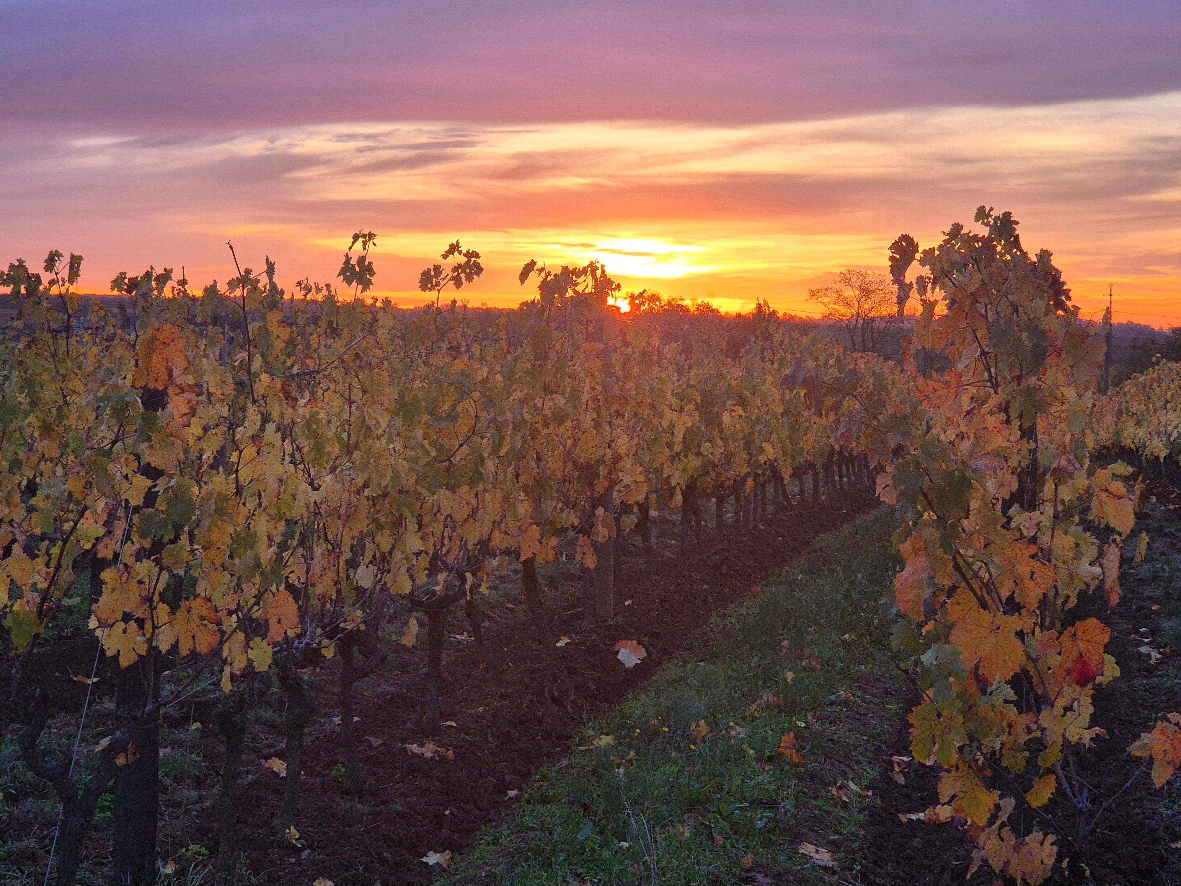 Domaine de la Soucherie-官方