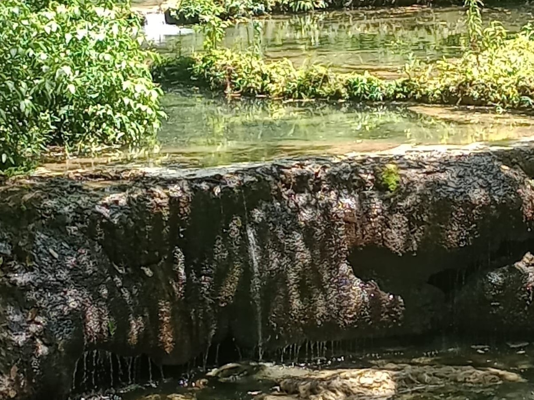 Estancia Mimosa Ecoturismo - Cachoeiras em Bonito, MS-博尼图必去景点