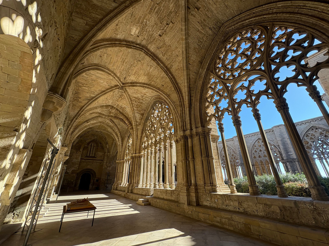 La Catedral Vieja-列伊达必去景点