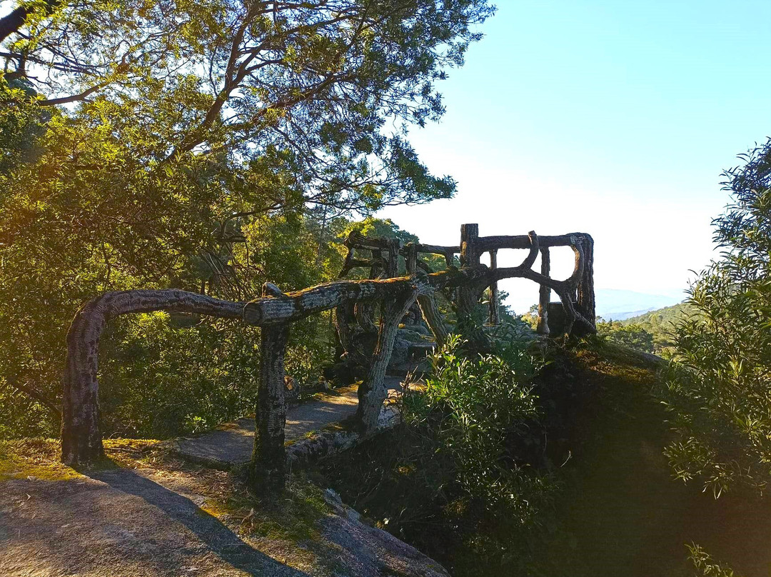 Parque Natural Monte Aloia-图伊必去景点