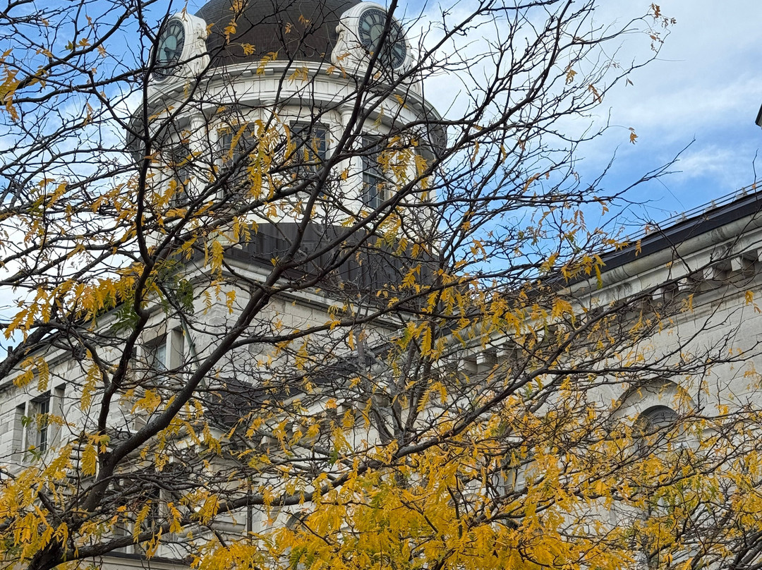 金士顿三角洲海滨酒店主图