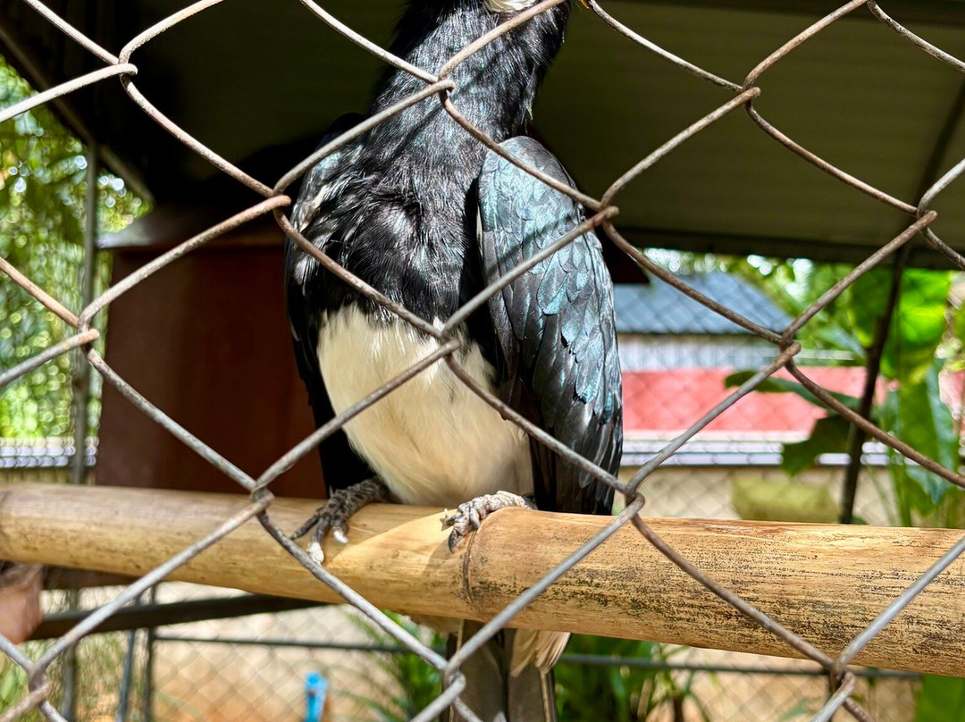 Thalane Palm Paradise Resort主图