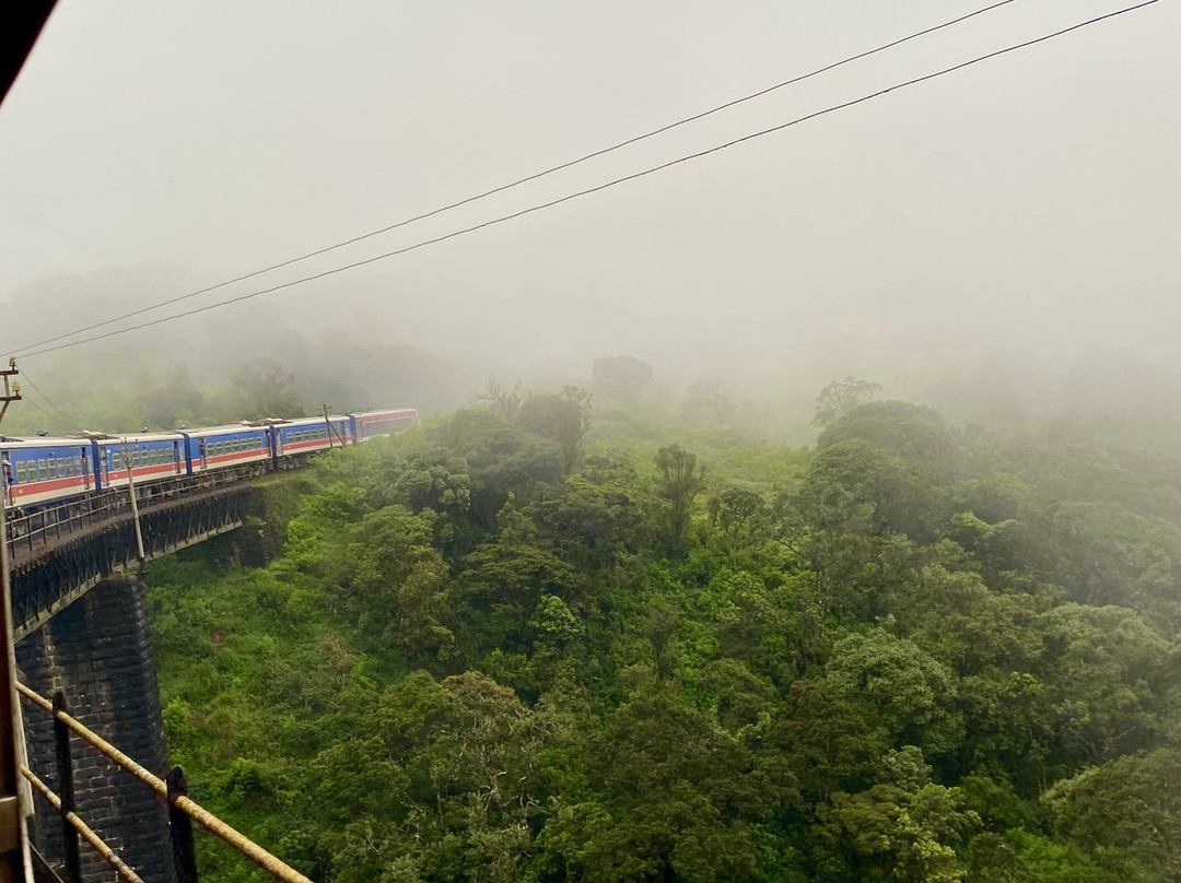 Wonder Sri Lanka Tours-卡图纳耶克必去景点