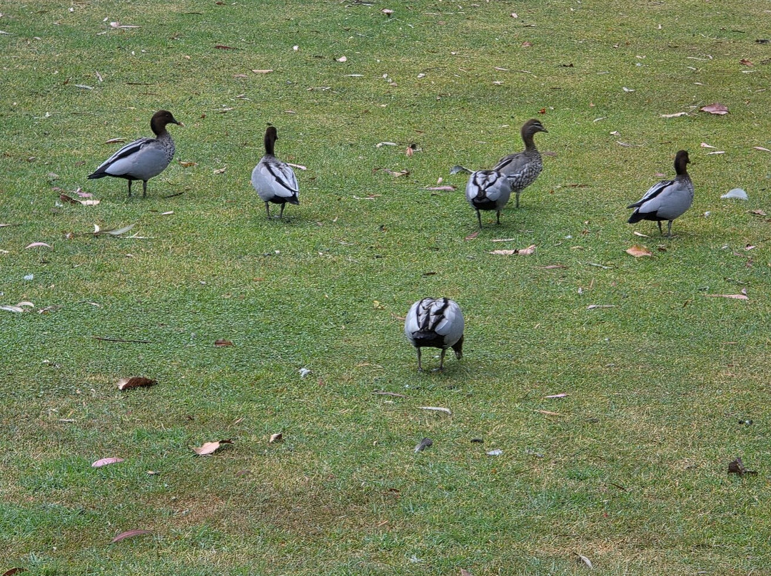 最佳西方客栈汽车旅馆主图