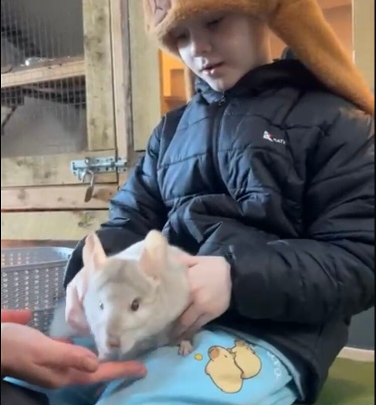 Secret Valley Wildlife Park-韦克斯福德必去景点