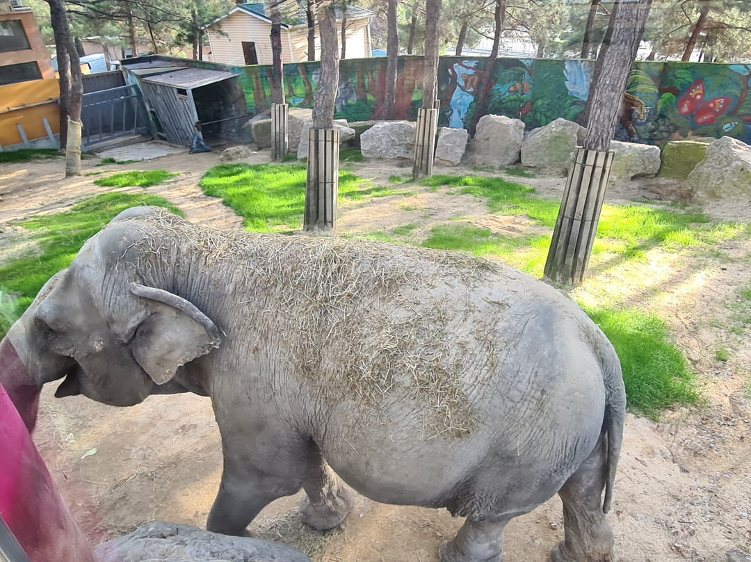 Safari Park-Gelendzhik必去景点