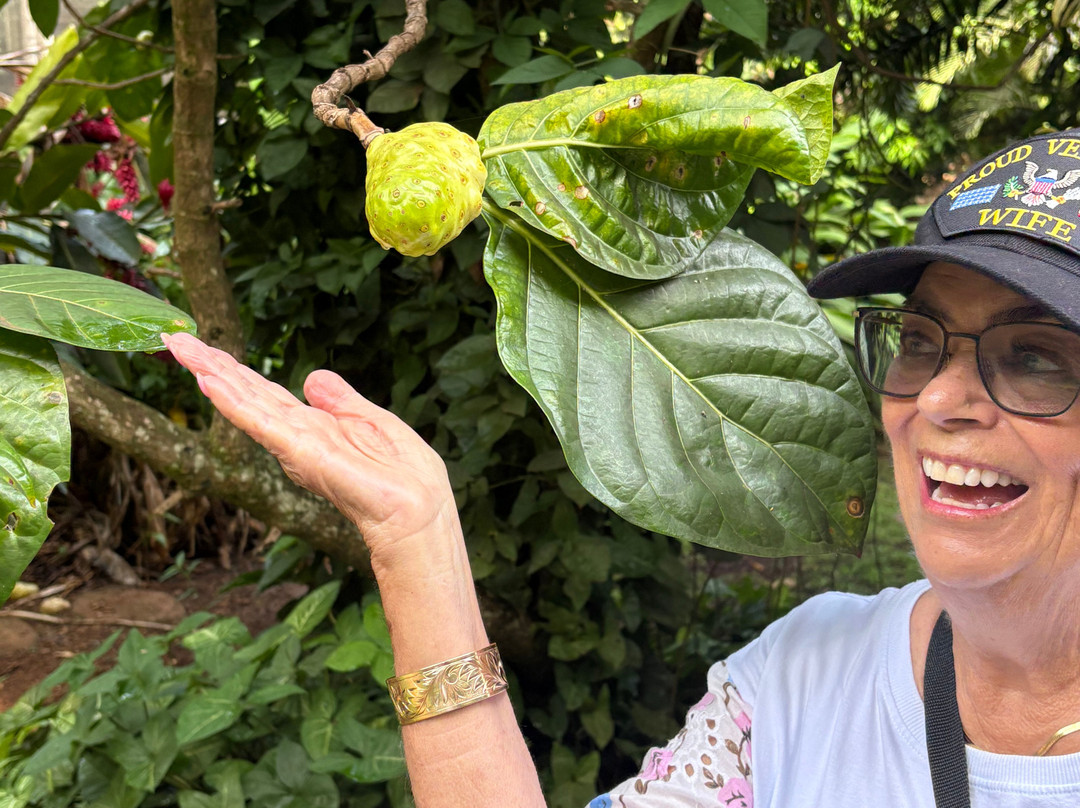 Hawaiian Organic Noni-基拉韦厄必去景点