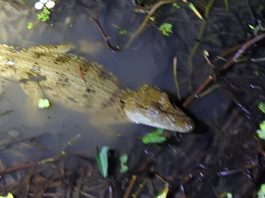 Road Scholar-波士顿必去景点