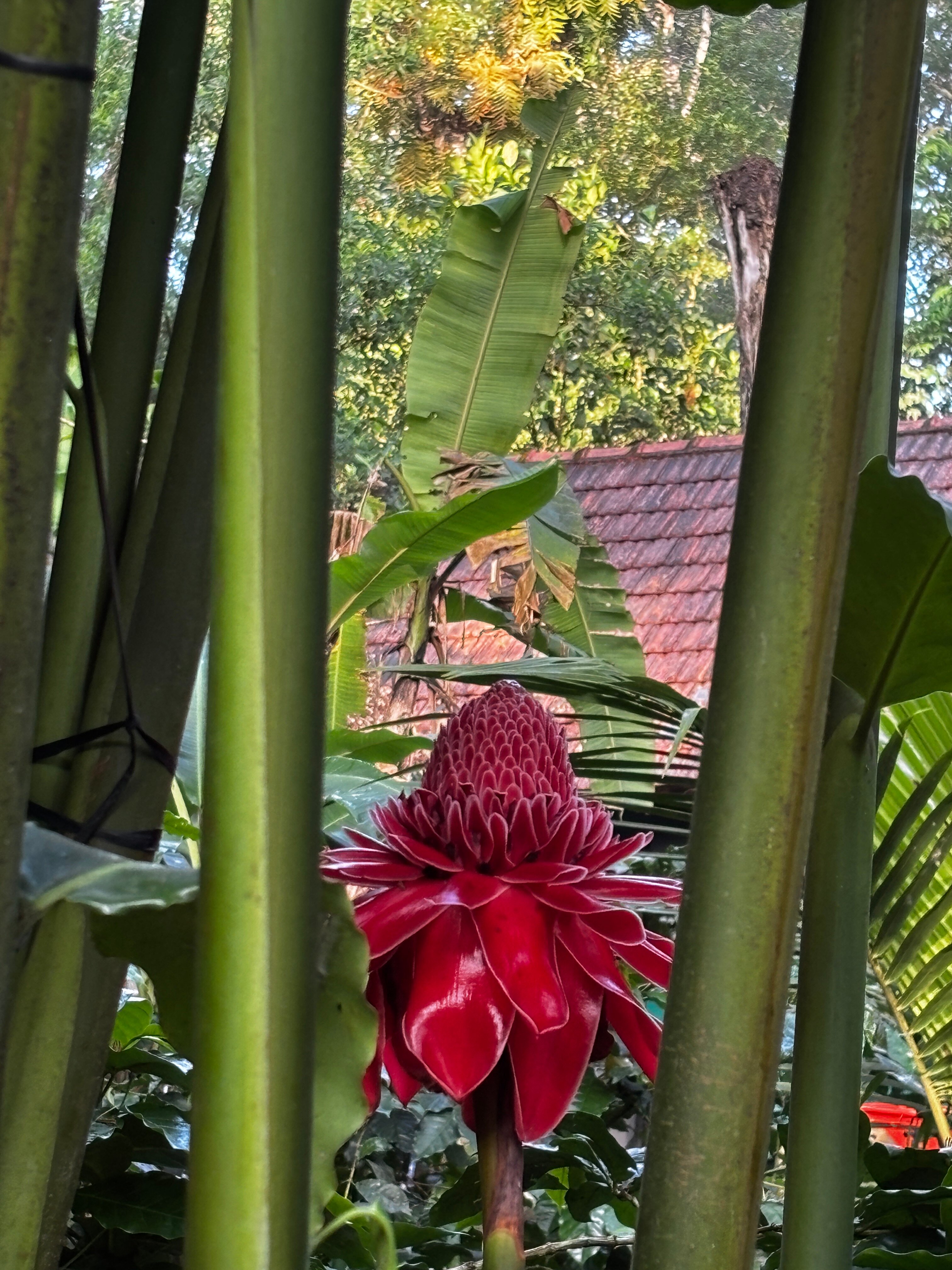 The Birchwood Retreat-浴室