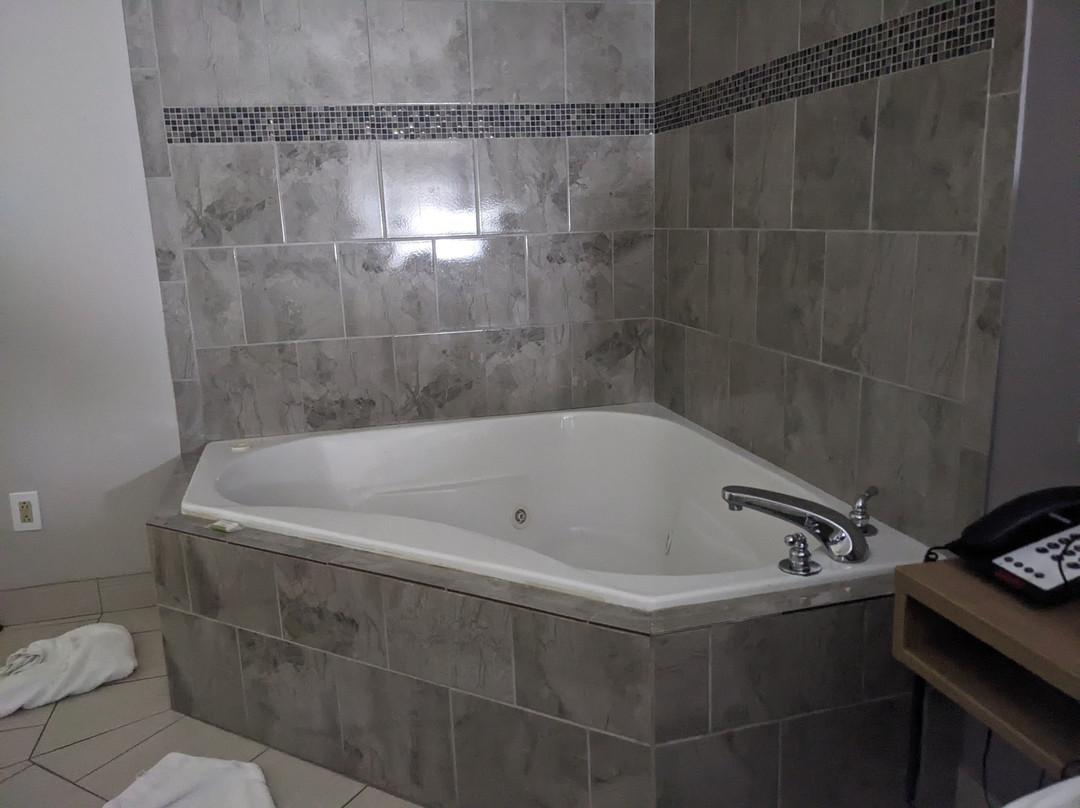 Microtel Inn & Suites by Wyndham Augusta Riverwatch主图