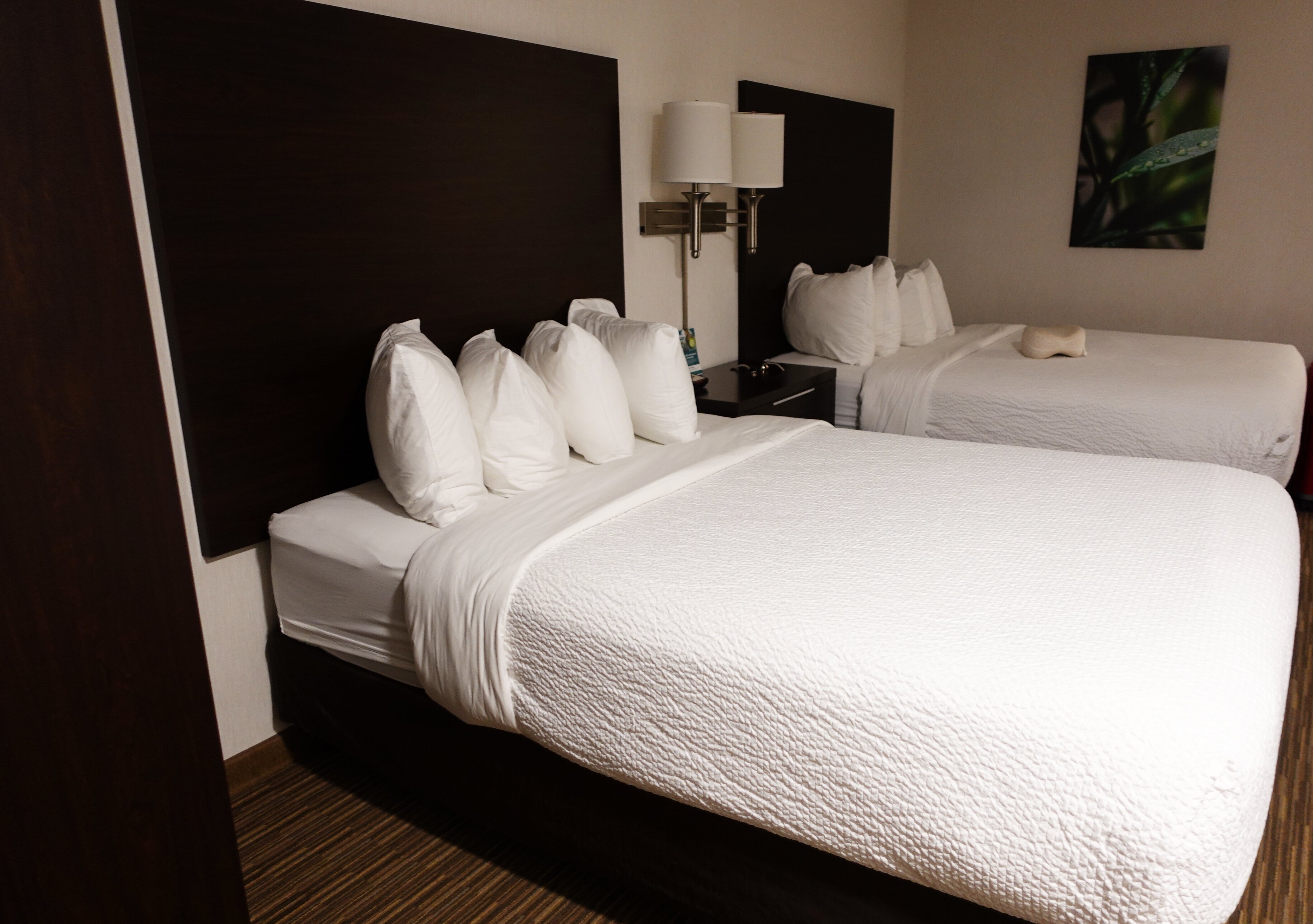 EverSpring Inn & Suites Hill City-客卧