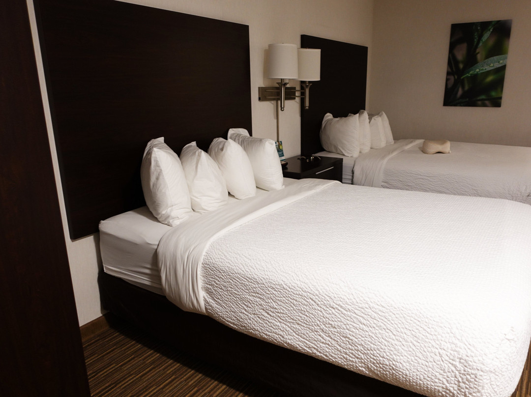 EverSpring Inn & Suites Hill City主图