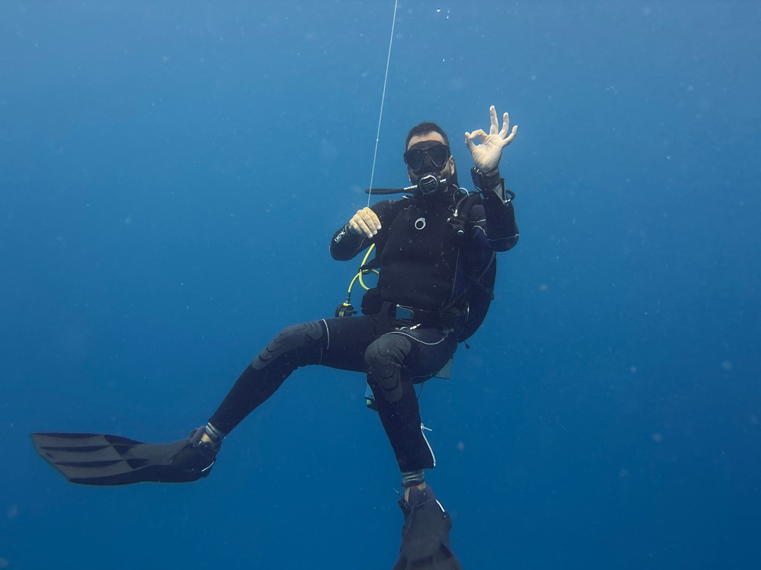 The Reef Marina-普拉亚德尔卡曼必去景点