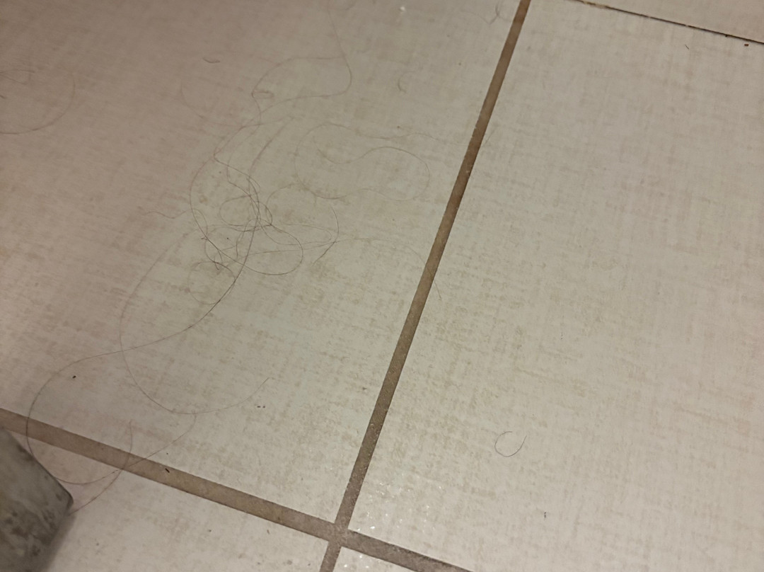 Wingate by Wyndham Bismarck主图