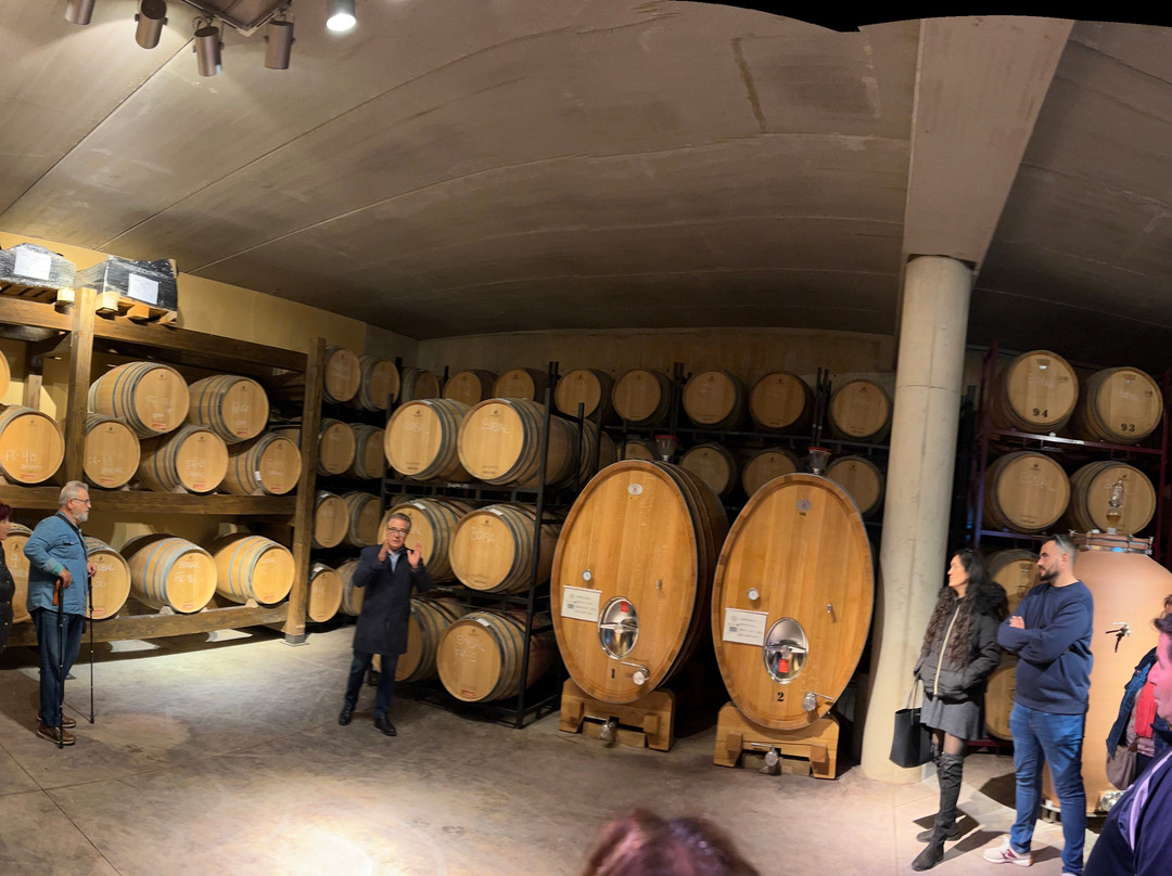 Bodega Vega Tolosa-Casas Ibanez必去景点