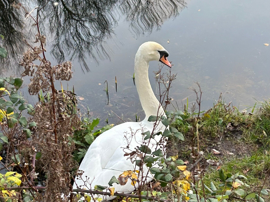 Ulverston Canal-Ulverston必去景点