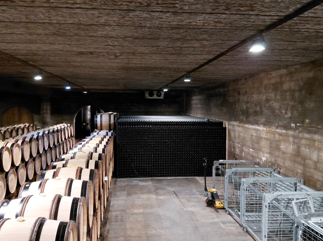 Wijnkasteel Genoels-Elderen-Riemst必去景点