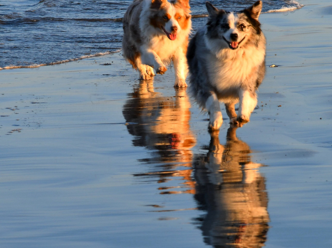 卡尤寇斯海滩酒店主图