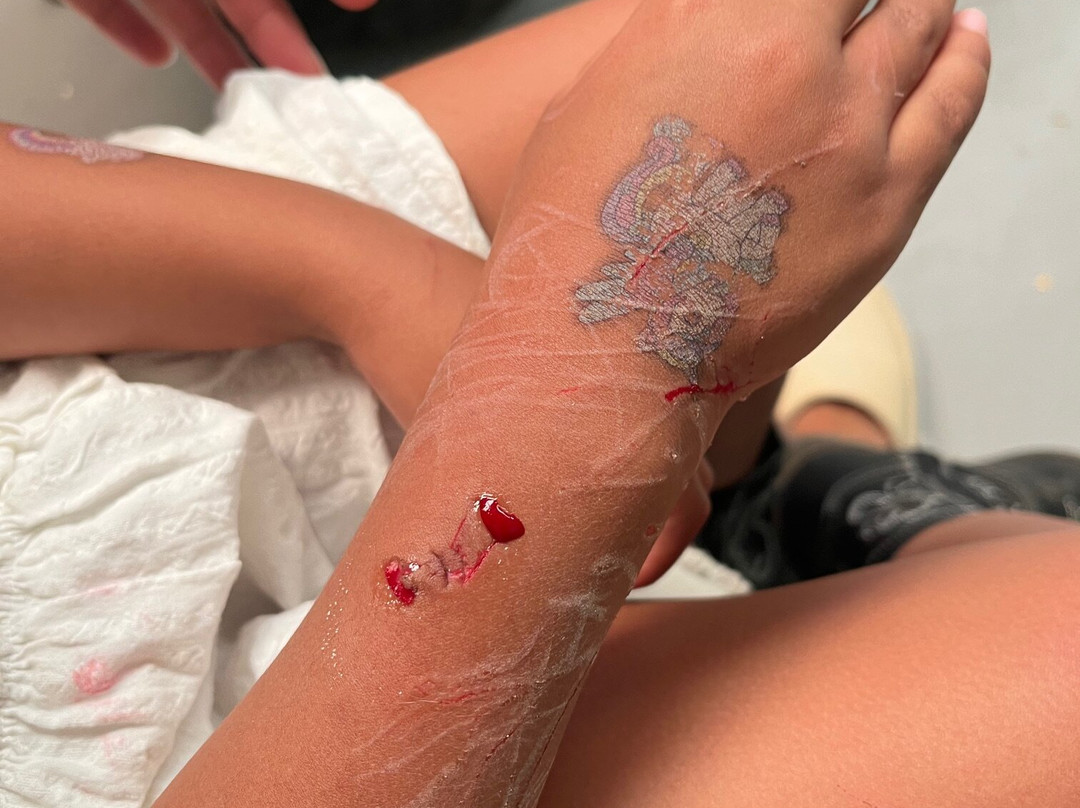 Swan Valley Cuddly Animal Farm-亨利布鲁克必去景点