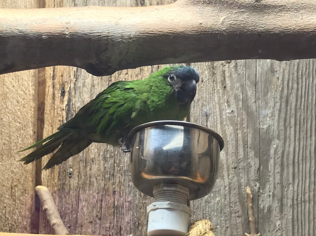 Rainforest Adventures-塞维尔维尔必去景点