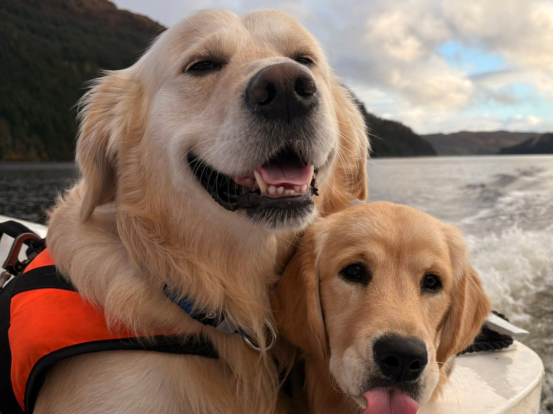 Loch Goil Cruisers-Lochgoilhead必去景点