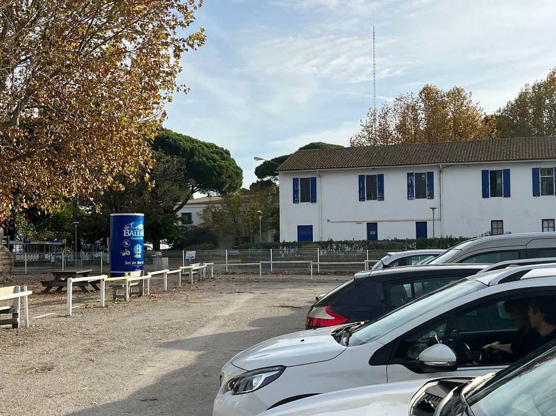 Salin d'Aigues-Mortes-艾格莫尔特必去景点