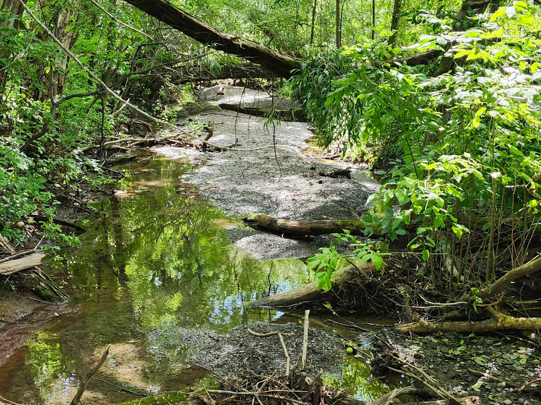 Le Parc Des Hauts-Fonds-St Augustin de Desmaures必去景点