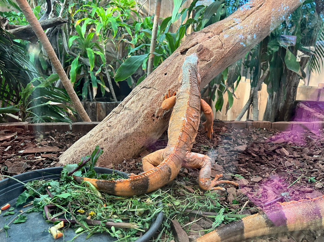 Terre de Dragons-Civaux必去景点