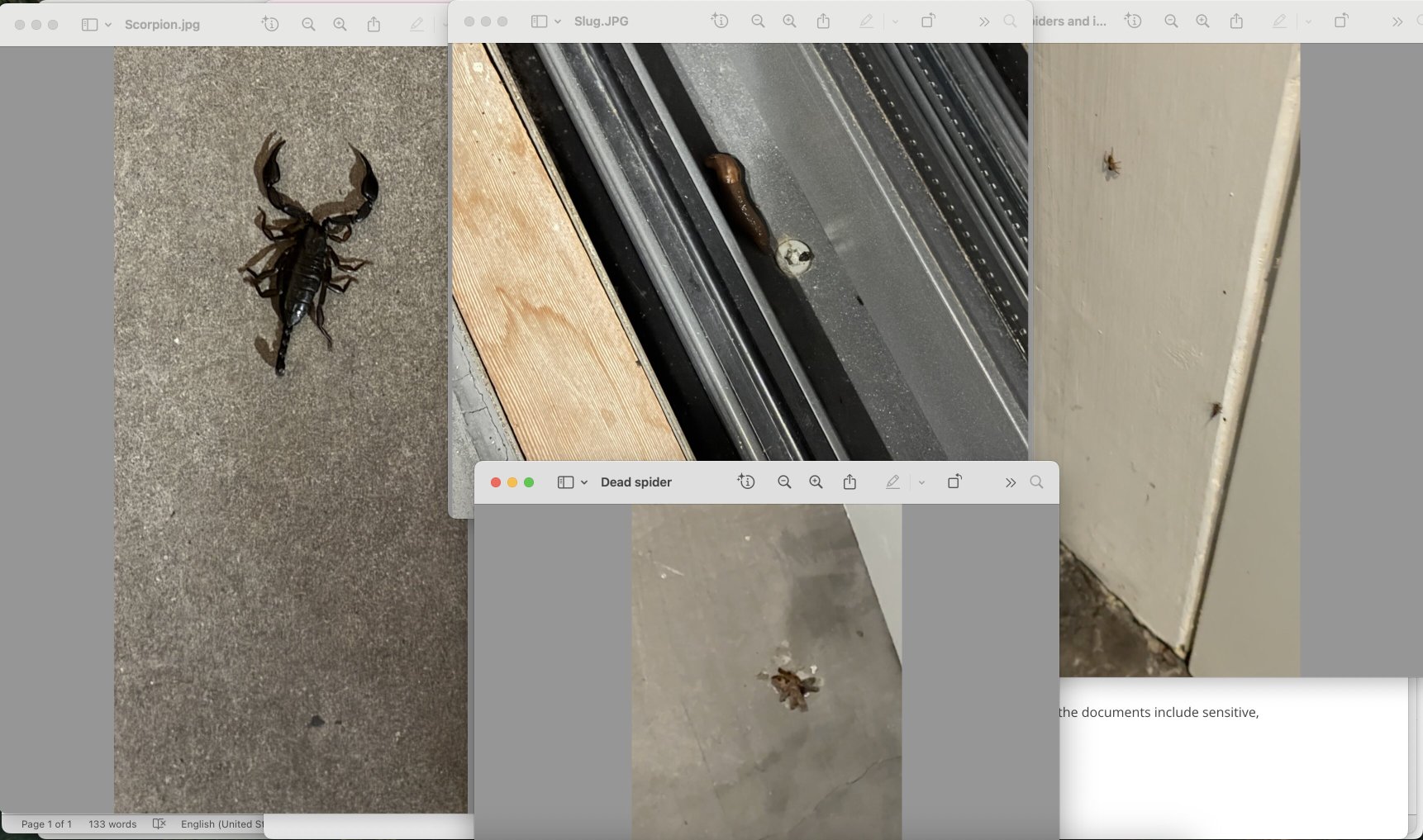 Torre di Moravola-官方